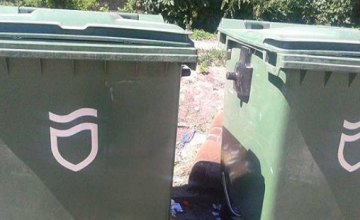 В Днепре жители частного сектора квасили капусту и солили арбузы в украденных мусорных контейнерах