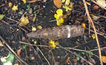 На Днепропетровщине женщина во дворе своего дома обнаружила артиллерийский снаряд