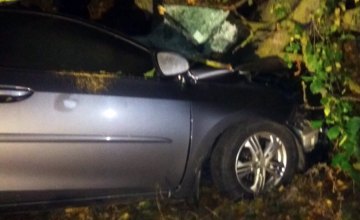 На Днепропетровщине легковушка влетела в дерево: водитель авто погиб, двое пострадавших