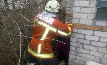 В Синельниковском районе 58-летняя женщина упала в выгребную яму