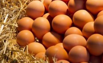 Куриные яйца и свинина лидируют в росте цен на продукты питания в Днепре