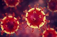 В Украине подтверждена вторая смерть от коронавирусной инфекции 