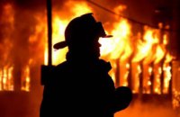 В Кривом Роге пожарные ликвидировали возгорание в летней кухне