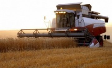 На Днепропетровщине собрано уже более половины урожая ранних зерновых культур