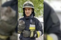 В Днепре спасатели помогли коту спуститься с 2-метрового дерева