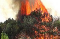Днепропетровские и запорожские МЧСники ликвидировали лесной пожар