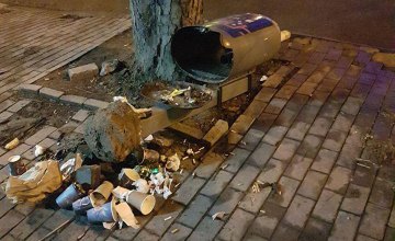 В центре Днепра вандалы повредили коммунальное имущество 