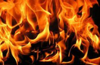 В Днепропетровской области за сутки произошло 93 пожара, из них 36 – в экосистемах