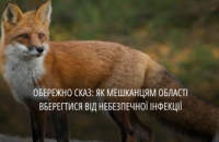 Цьогоріч на Дніпропетровщині виявили 30 випадків сказу у тварин: як від інфекції вберегтися мешканцям області