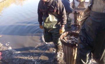 ​В течение двух дней в Днепровское водохранилище выпустили 415 тыс. мальков рыб