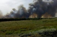 В Днепропетровской области горел хвойный лес (ФОТО)