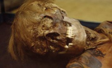 В Павлограде нашли мумифицированный труп мужчины