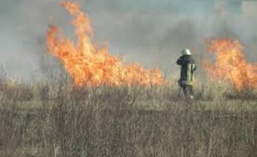 С начала года в экосистемах Днепропетровской области произошло 1728 пожаров в экосистемах, - ГУ ГСЧС в области