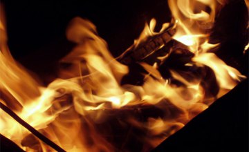 В Запорожской области в машине сгорела 3-летняя девочка