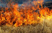 На Днепропетровщине объявлено штормовое предупреждение: жара и пожароопасность