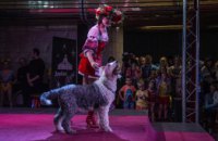 У Дніпрі артисти державного цирку влаштували виставу, під час якої збирали кошти для тварин