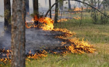 В лесах Днепропетровщины запретили разжигать костры