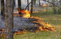 В лесах Днепропетровщины запретили разжигать костры