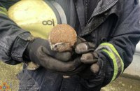 У Кам’янському рятувальники вивільнили совеня яке впало у вентиляційну шахту (ФОТО)