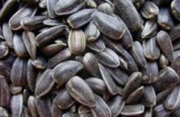 Мошенники «обвесили» государство на 1 тыс. тонн семечек
