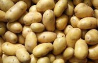 В Днепре за неделю картошка подешевела более чем на 18 %