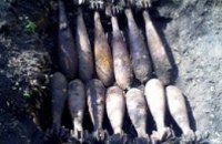 На Днепропетровщине местные жители нашли почти 30 боеприпасов  в лесополосе
