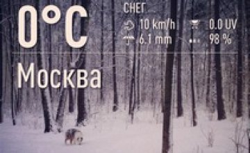 Москву замело снегом: водителей просят не ездить на личном транспорте