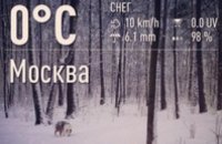 Москву замело снегом: водителей просят не ездить на личном транспорте