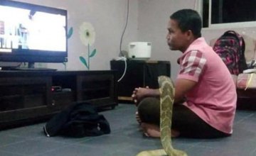 В Азии мужчина женился на трехметровой змее (ФОТО)