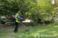 Для комфорту: щомісяця у Дніпрі скошують 400 тис. кв. м бур’янів на прибудинкових територіях комунальної власності