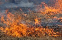 З початку літа на Дніпропетровщині сталося 15 лісових пожеж