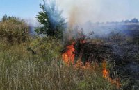 В Никополе сгорело 2 га сухой травы (ФОТО)
