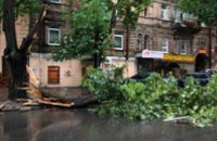 Коммунальщики наводят порядок в Днепропетровске после вчерашнего урагана