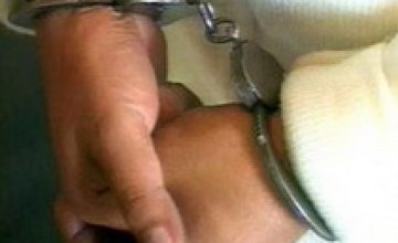 Криворожским злоумышленникам за кражу игрушечного автомата грозит 7 лет тюрьмы
