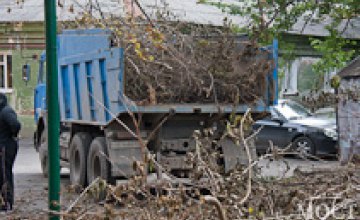В Днепродзержинске коммунальное предприятие незаконно снесло 165 деревьев