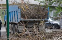 В Днепродзержинске коммунальное предприятие незаконно снесло 165 деревьев