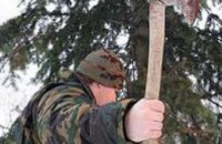 В Кривом Роге подросток украл из леса 6 елок