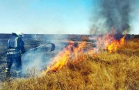 С начала года в экосистемах Днепропетровщины произошло около 6 тыс. пожаров