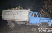 Изъято 8 кубов древесины: на Днепропетровщине пытались незаконно вырубить лес