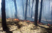 На Днепропетровщине горел лес 
