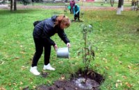 У Васильківській громаді Синельниківського району висадили понад 800 дерев