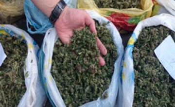 Днепропетровская полиция изъяла у безработного жителя Запорожской области 12 кг марихуаны