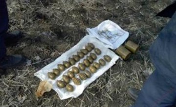 В Днепропетровской области нашли тайник с гранатами