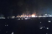 В Марганце сгорело 4,5 га леса (ФОТО)