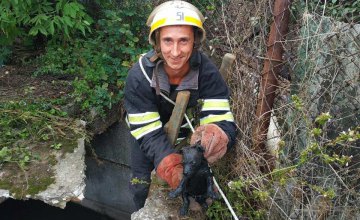 На Днепропетровщине спасли малышей, упавших в 3-метровую яму