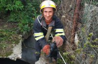 На Днепропетровщине спасли малышей, упавших в 3-метровую яму