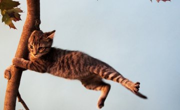 В Днепропетровской области на неделю объявлено штормовое предупреждение