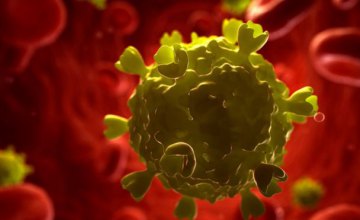 В ЮАР начинаются испытания новой вакцины против ВИЧ
