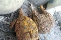 В Кривом Роге на территории жилого сектора обнаружили устаревшие боеприпасы