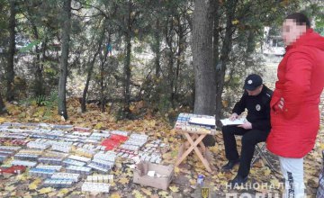 На Днепропетровщине у 22-летней девушки изъяли 700 пачек контрафактных сигарет